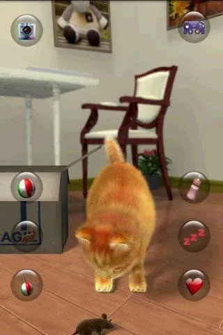 Talking Lovely Cat МОД/Взлом [Много денег, Монет и Все открыто] Screenshot 3