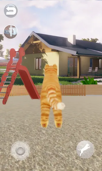 Talking Lovely Cat МОД/Взлом [Много денег, Монет и Все открыто] Screenshot 4