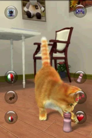 Talking Lovely Cat МОД/Взлом [Много денег, Монет и Все открыто] Screenshot 5