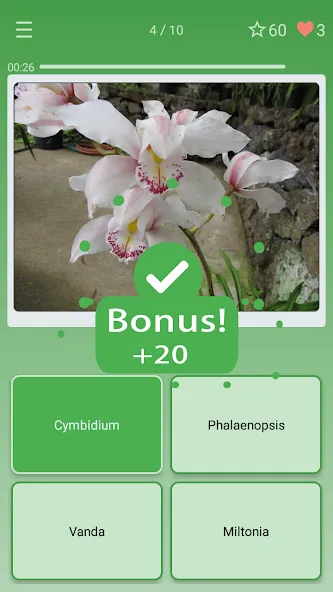 Quiz: Flowers, Plants МОД/Взлом [Меню, Бесконечные монеты и Открытые уровни] Screenshot 2