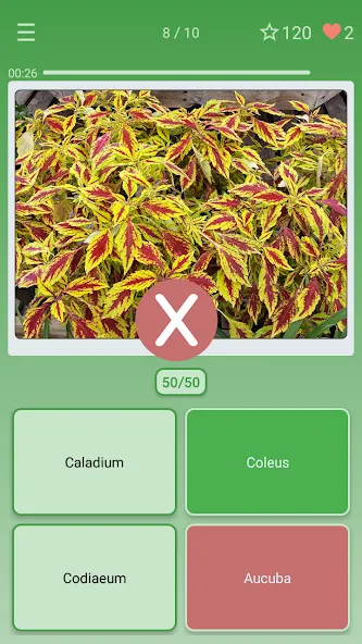 Quiz: Flowers, Plants МОД/Взлом [Меню, Бесконечные монеты и Открытые уровни] Screenshot 3